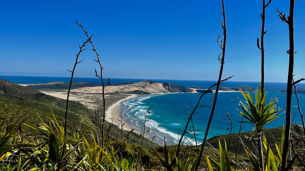 Read more about the article 01-01 – Custodians of Earth