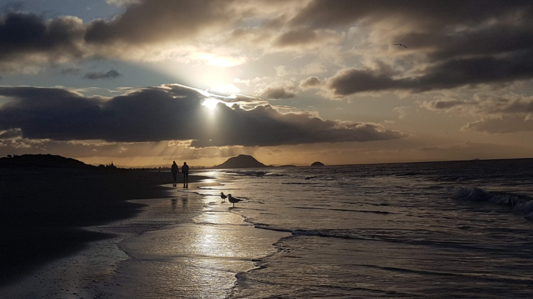 Read more about the article 01-12 – The Way of the Light