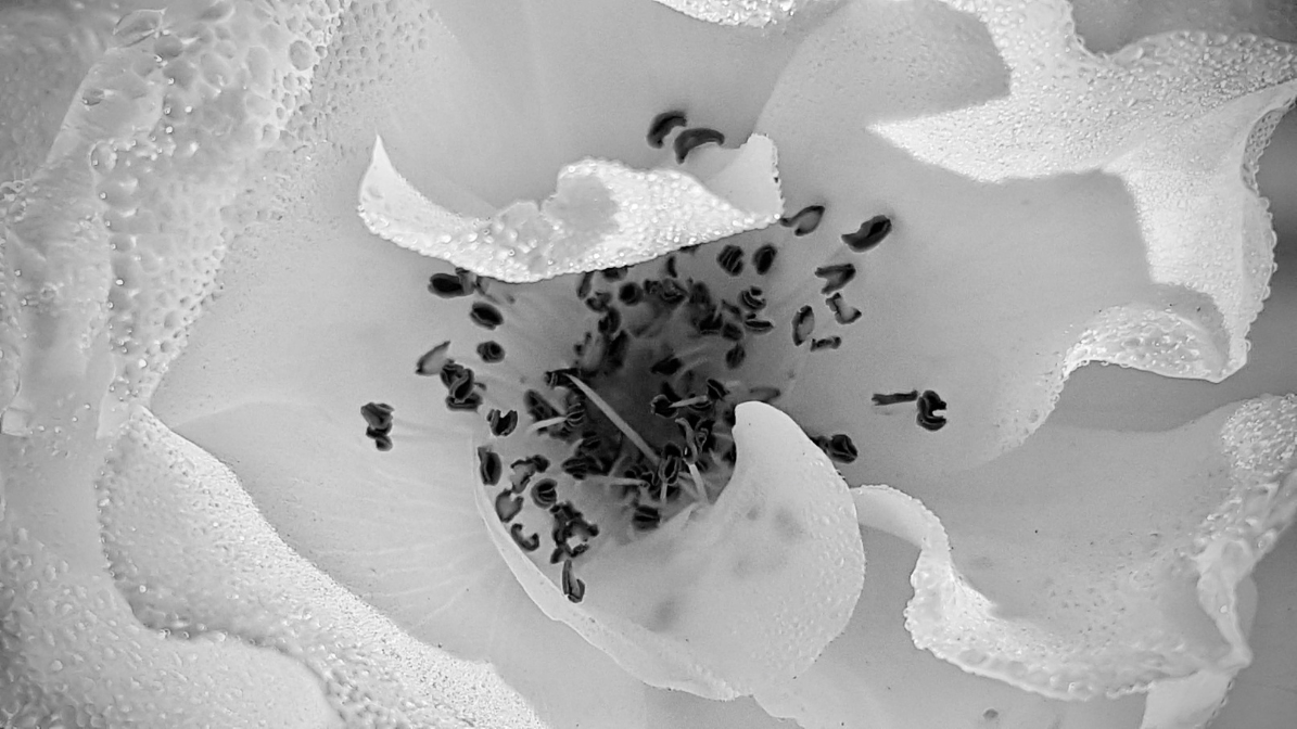 Read more about the article 01-02 – Inner Heart Frequency