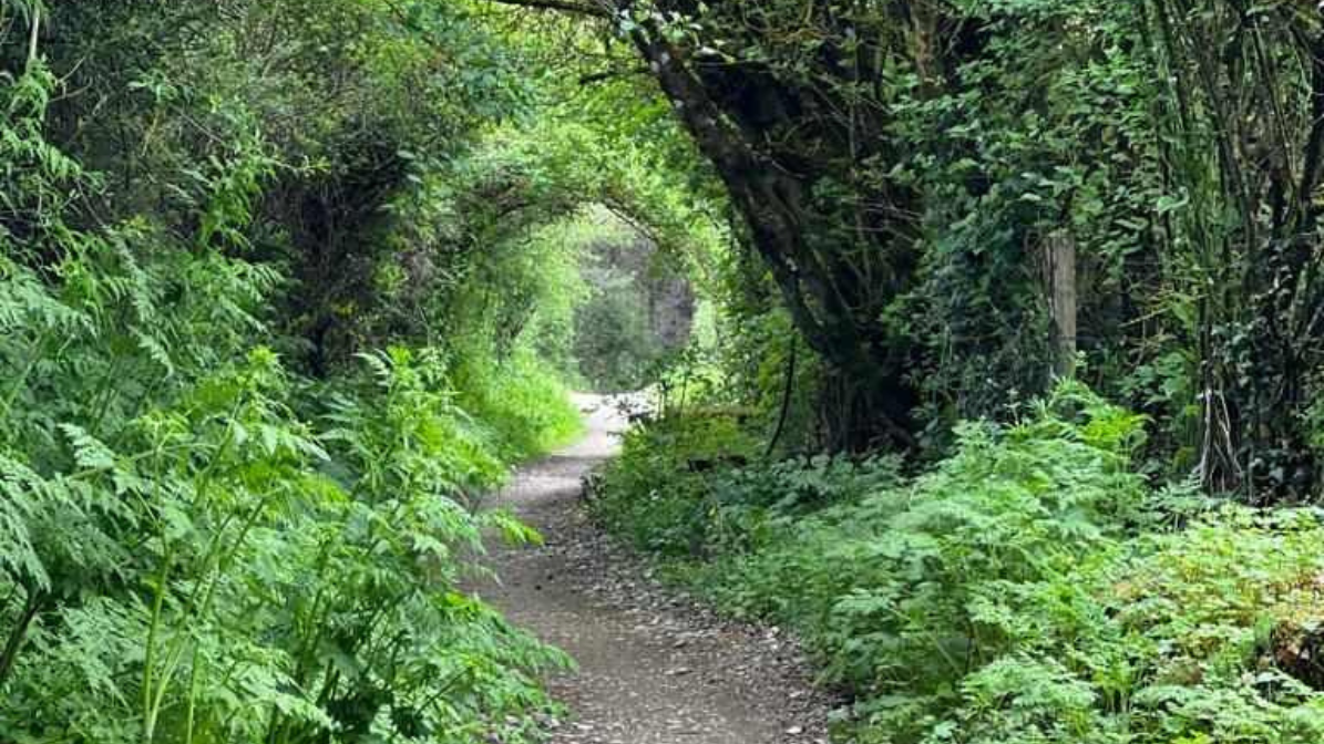 Read more about the article 01-07 – Becoming Whole