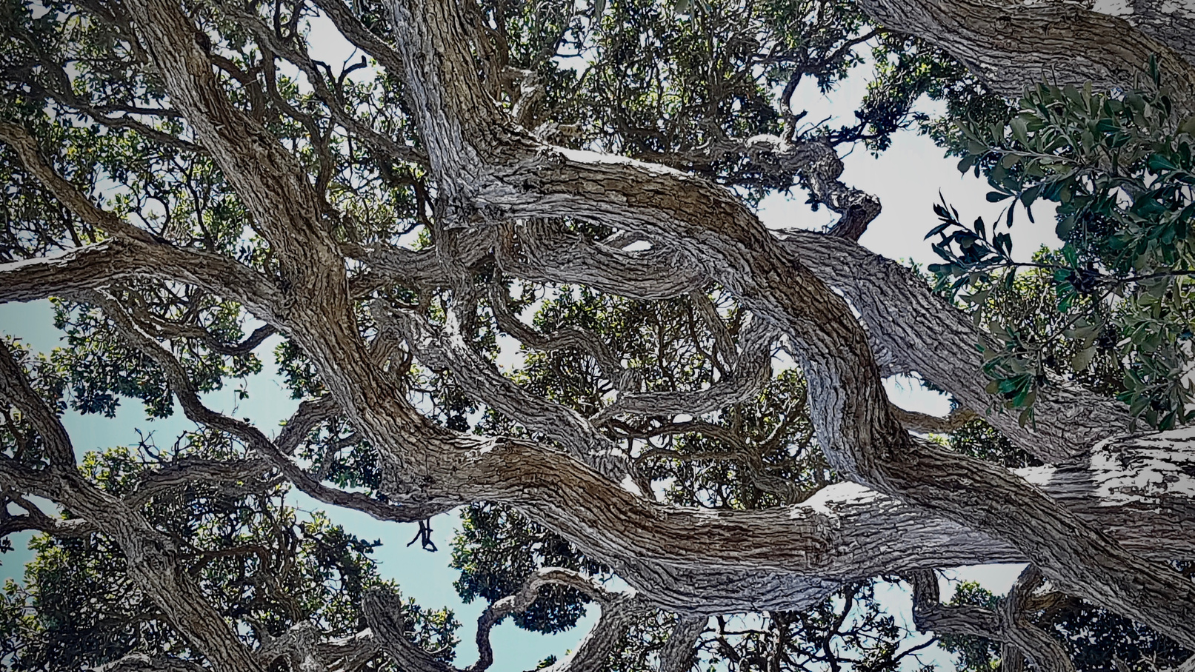 Read more about the article 01-08 – The Crux of Time